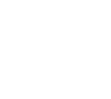 SmartFish